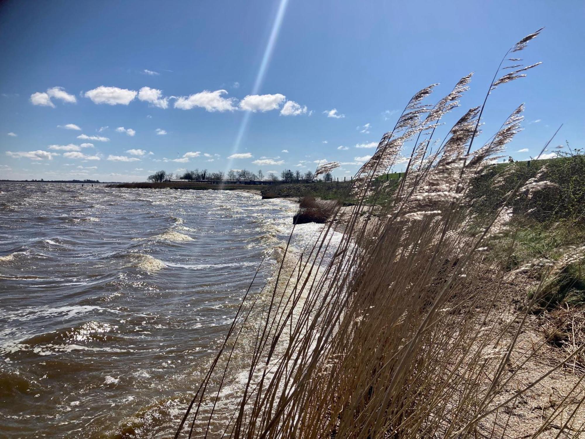 Haus Gaby Direkt Am Lauwersmeer Anjum Zewnętrze zdjęcie
